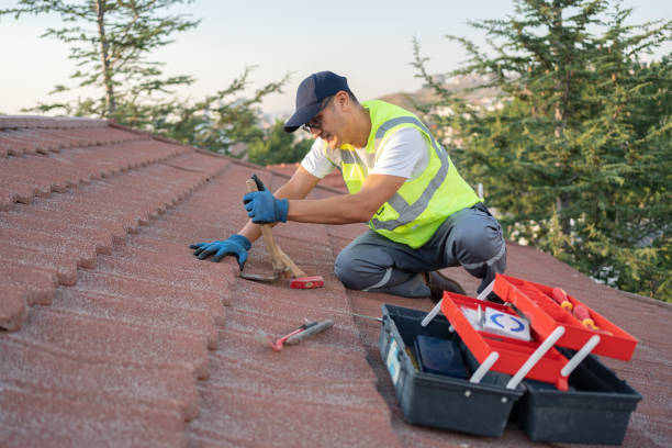 Best Roof Gutter Cleaning  in Frazeysburg, OH